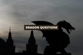 DRAGON QUESTIONS