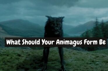 What Should Your Animagus Form Be