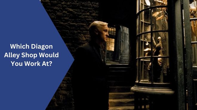 Which Diagon Alley Shop Would You Work At