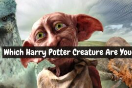 Which Harry Potter Creature Are You