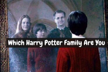Which Harry Potter Family Are You In