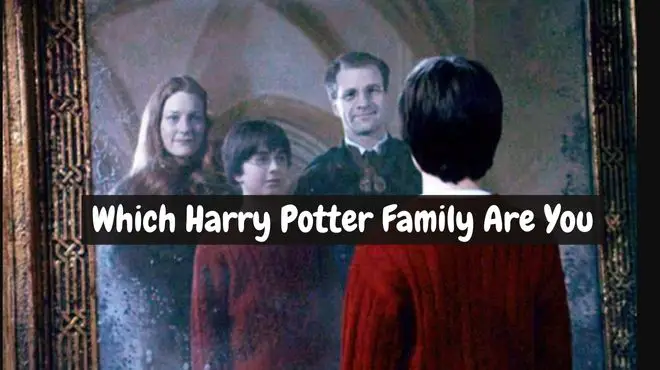 Which Harry Potter Family Are You In