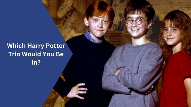 Which Harry Potter Trio Would You Be In
