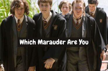 Which Marauder Are You