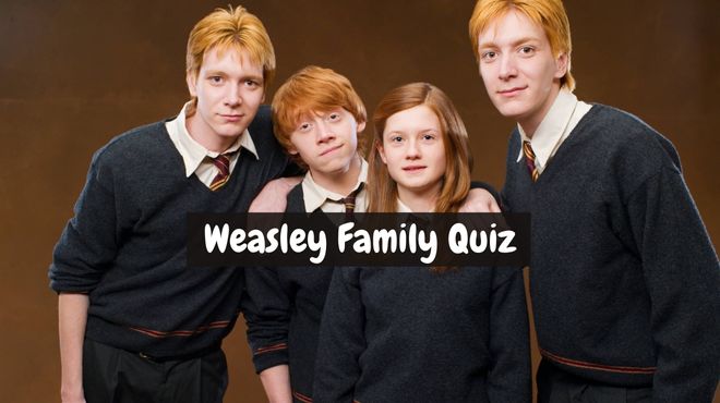 Which Member Of The Weasley Family Are You