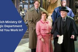 Which Ministry Of Magic Department Would You Work In