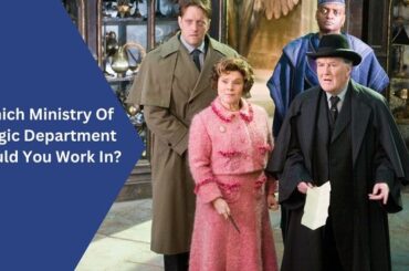 Which Ministry Of Magic Department Would You Work In
