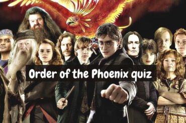 Which Order of the Phoenix Member Are You