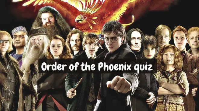 Which Order of the Phoenix Member Are You