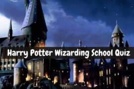 Which Wizarding School In Harry Potter Would You Get Into