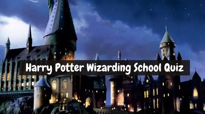 Which Wizarding School In Harry Potter Would You Get Into