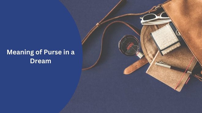 Meaning of Purse in a Dream